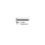 TAMIYA 2.5x22mm DOME HEAD SCREW,  S2080029, HC_OZ