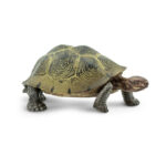 SAFARI LTD DESERT TORTOISE SAF295329 HC_OZ
