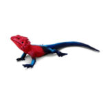 SAFARI LTD MWANZA FLAT HEADED ROCK AGAMA SAF101081 HC_OZ